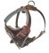 Agitation Leather Dog Harness- handmade training dog harness