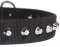 1 Row Studs Dog Collar-1 1/4" for schutzhund dogs