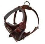 Hands Free Control Dog Harness for DOG