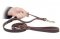 Easy of Use dog training lead 5 FT for Dog training