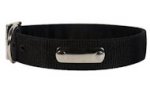 Found 2 Ply Nylon Dog Collar w/h name tag/Metal Buckle