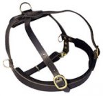 Similar Latigo Leather H-Style Dog Harness for DOG