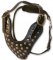 Two-Ply Latigo Dog Harness with Studs for DOG