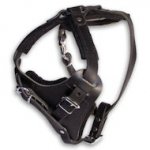 Right Leather Agitation Harness for All dog Breeds