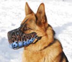 Leather dog muzzle "Dondi"-plus style For GSD-K9