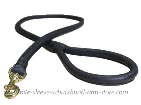 Matching Rolled Leather Dog Lead for