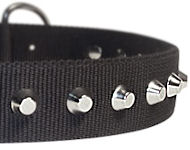 1 Row Studs Dog Collar-1 1/4" for schutzhund dogs