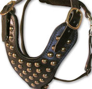2 Ply Studded Leather Dog Harness for DOG