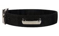 Found 2 Ply Nylon Dog Collar w/h name tag/Metal Buckle
