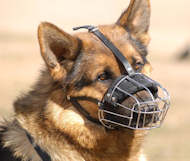 baske wire dog muzzle