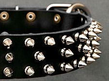 Black Leather Spiked dog Collar for DOG