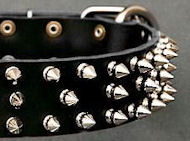 Canine Deluxe Spiked Leather Dog Collar for police dogs