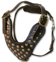 DOG Studded Leather Dog Harness -H15