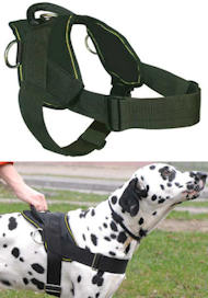 Best Dog Training Harness for DOG