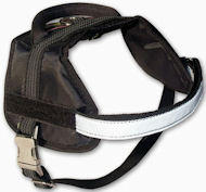 Buy puppy Dog Harness - SMALL/MEDIUM Nylon Dog Harness for DOG