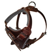 Hands Free Control Dog Harness for DOG