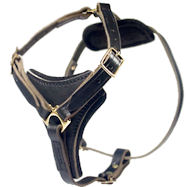 Latigo Adjustable Harness-DOG Leather Harness