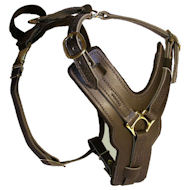 Padded Dog Harness H10