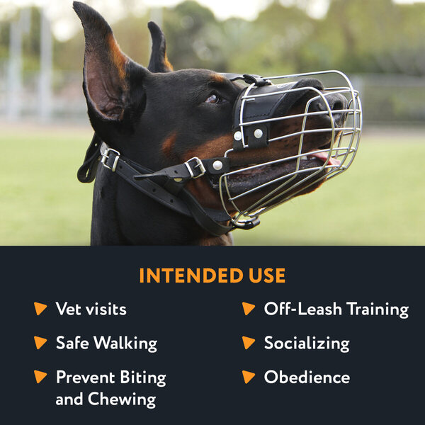 Utilizing Basket Dog Muzzle as Intended