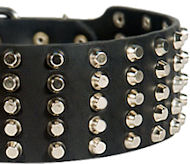 Pyramid Studs on Leather Dog Collar for DOG