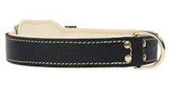 Riveted Leather Dog Collar for DOG