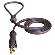 1/2 inch Leather Round Dog Leash for Training dog