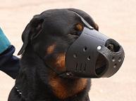 Everyday Leather Dog Muzzle for all DOGS