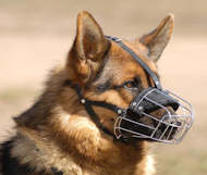 dog muzzle 