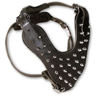 Spiked 2-Ply Latigo Harness for working dogs