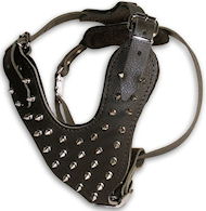 Quality Spiked Dog Harness -Leather Dog Body Harness