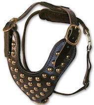 Handmade Studded Leather Walking dog harness for All breeds