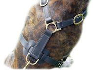 Ultimate Tracking Harness for Dog
