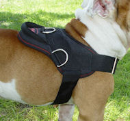 Looking for Big Dog Freedom Harness for police dogs
