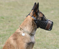 dog muzzles