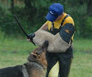 Bite Sleeves Intermediate Sleeves Puppy Sleeves Hidden Sleeves Bite