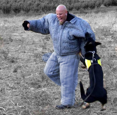 Used dog bite deals suit for sale