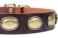 High Quality Leather Dog Collar for Dog