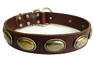 leather dog collar brown color