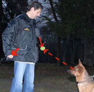 Dog Trainer Vests-Dog Trainer nylon coat for dog training