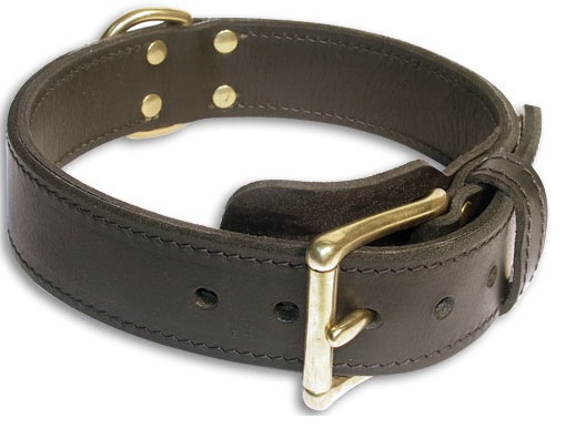 Double Layer Collar 1 3/4 inch for Shutzhund Training