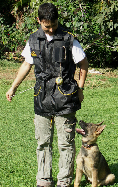 best Nylon Dog Training Vest With Smart Pocket Future 