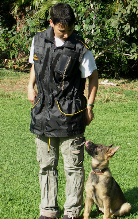 Nylon Dog Training Vest With Smart Pocket Future