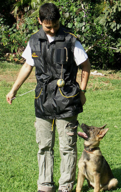 Dog Trainer Vests-Dog Trainer coat for dog training