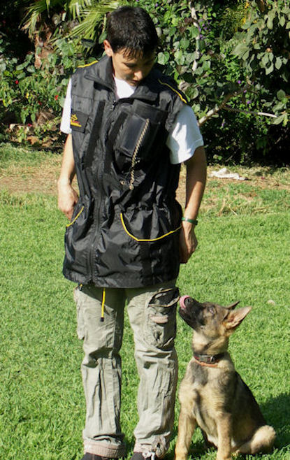 Dog Trainer Vests-Dog Trainer coat for dog training