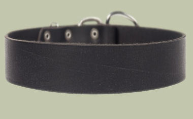2 inch wide All Weather Collar for police dogs-Leather Collar