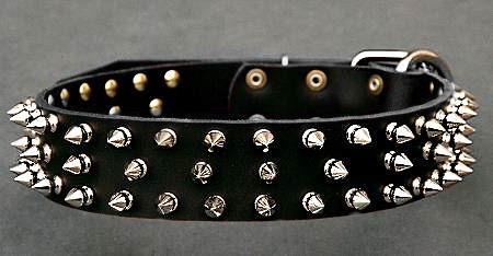 Black Spiked Leather Dog Collar for police dogs