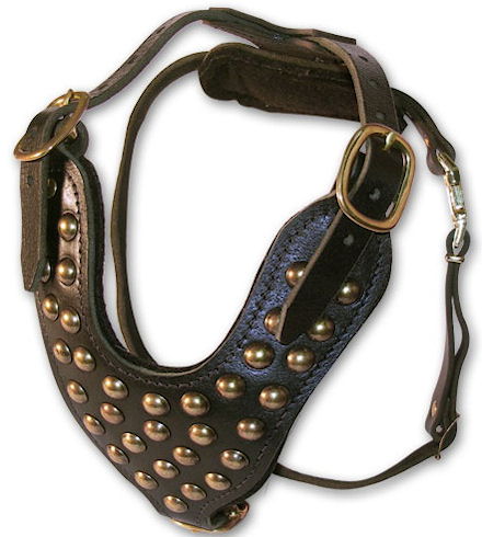 DOG Studded Leather Dog Harness -H15