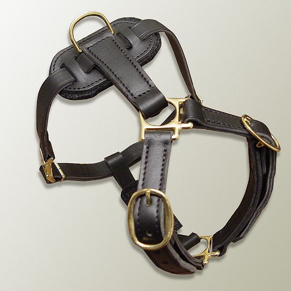 Buy Small Leather Puppy Harness, Dog Training