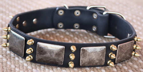 Best spiked Leather Dog Collar - massive plates+ brass3 spike