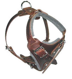 Medium dog Harness for Dog -Leather Harness